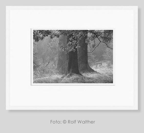 Workshop Print und Präsentation in der Schwarzweißfotografie