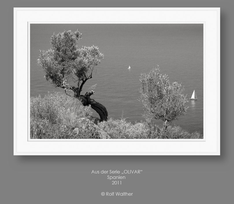Zum Schwarzweißfotografie Fine Art Portfolio Olivar von Rolf Walther