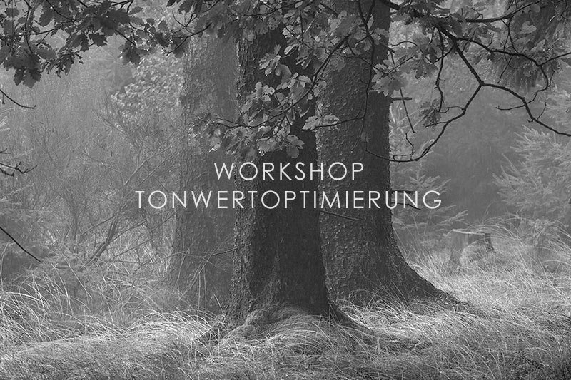 Workshop Tonwertoptimierung in der digitalen Schwarzweißfotografie